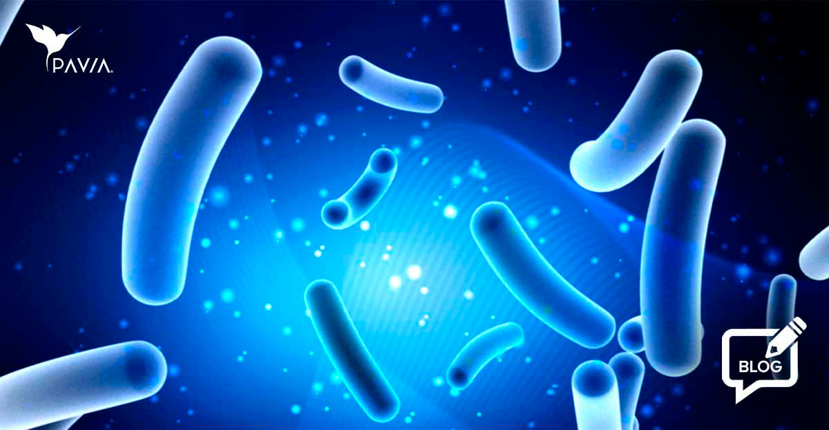 6 cosas sorprendentes sobre los probióticos