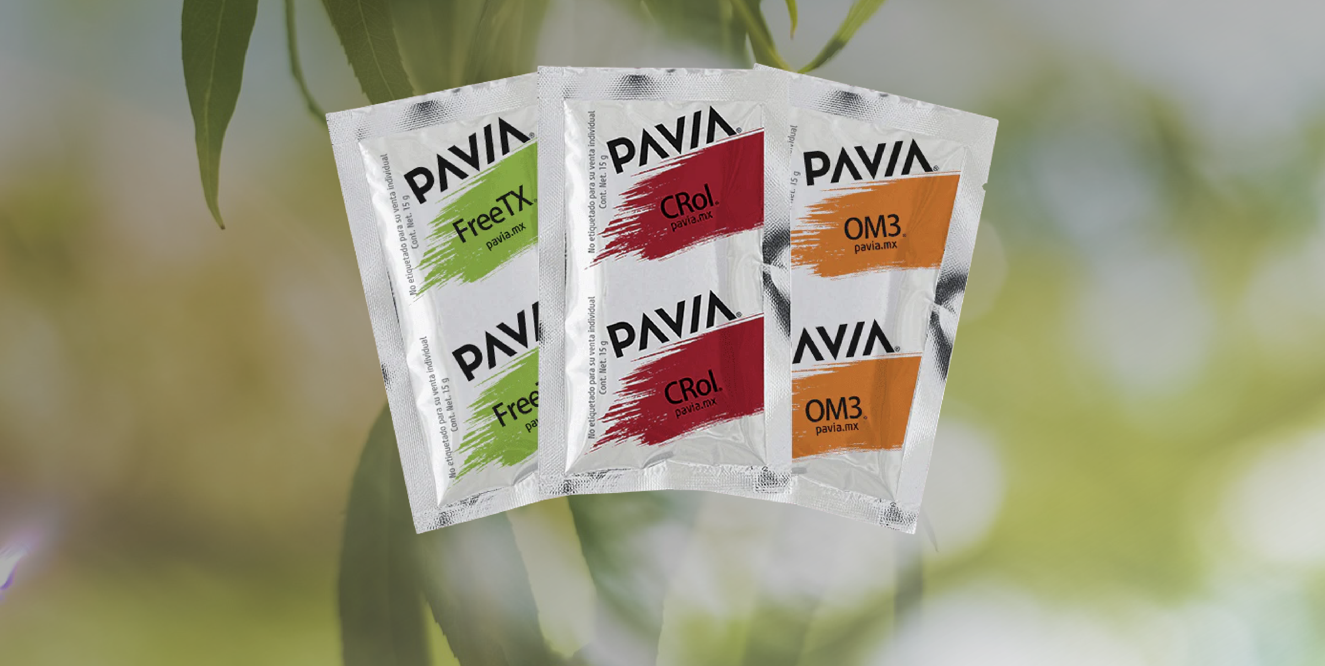 Microbiota Intestinal, Colesterol y Salud Cardiovascular: Cómo probióticos PAVIA Actúa Desde la Raíz