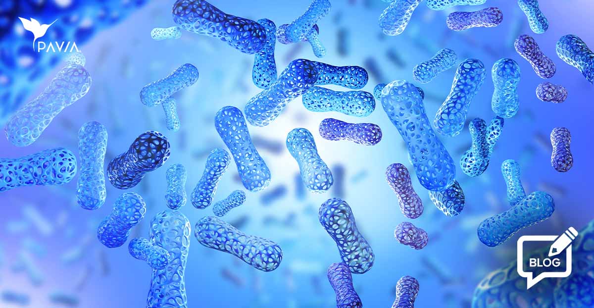 Los Probióticos: La clave para una vida saludable que no te han contado