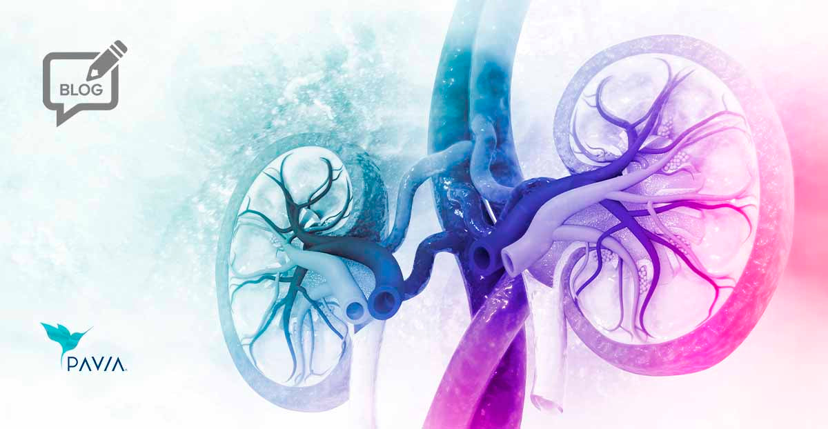 probioticos que ayudan a los riñones