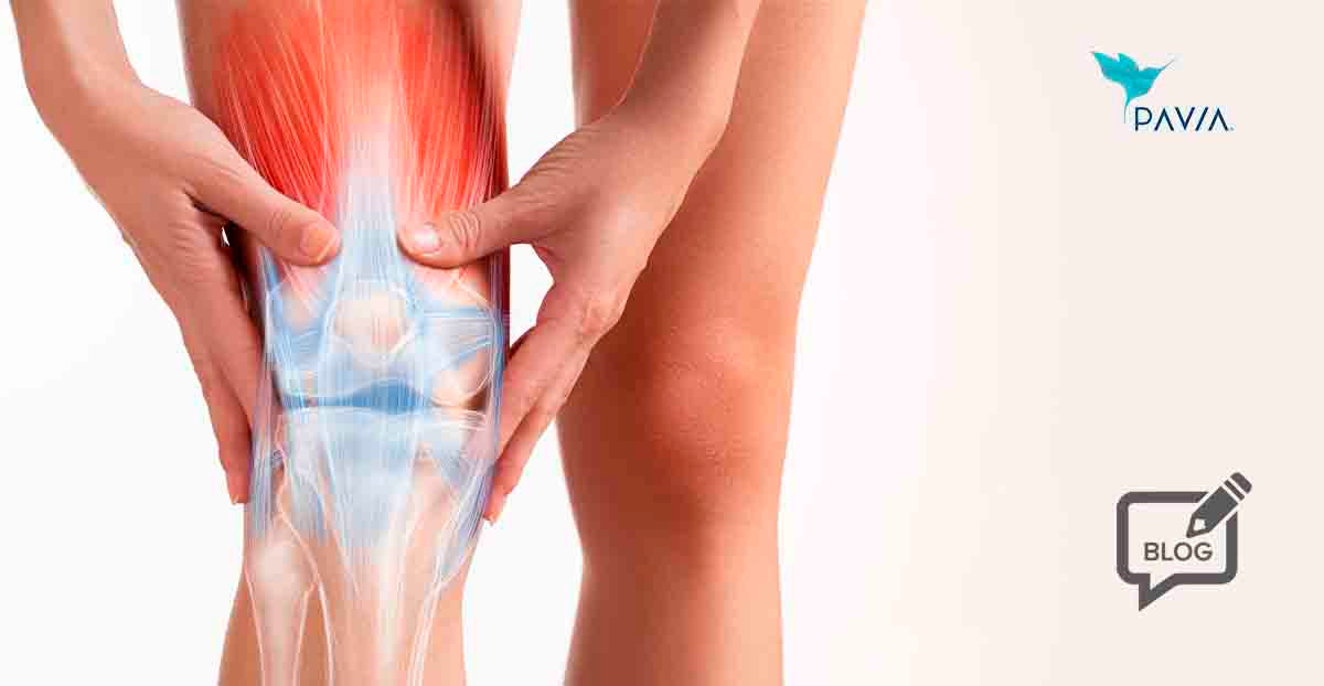 Relación probióticos y recuperación muscular