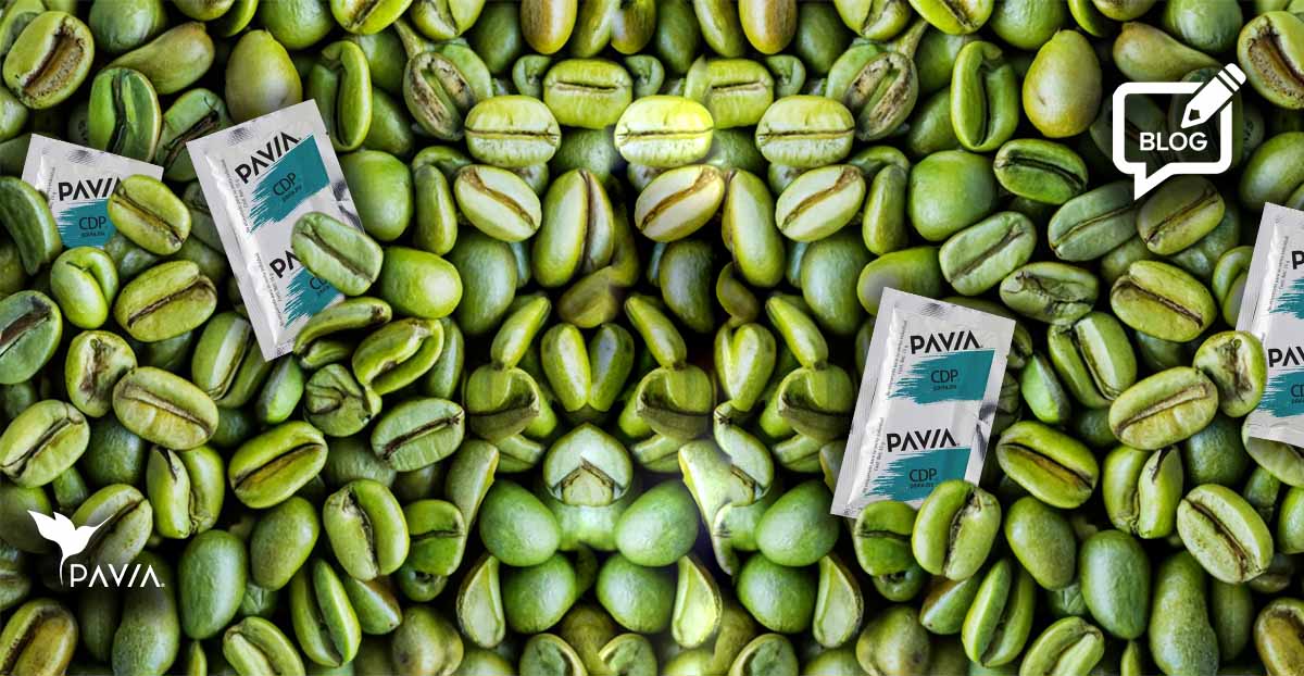 extracto de cafe verde en probioticos pavia