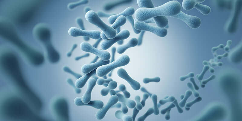 Beneficios del Lactobacillus acidophilus para la digestión, inmunidad y salud femenina