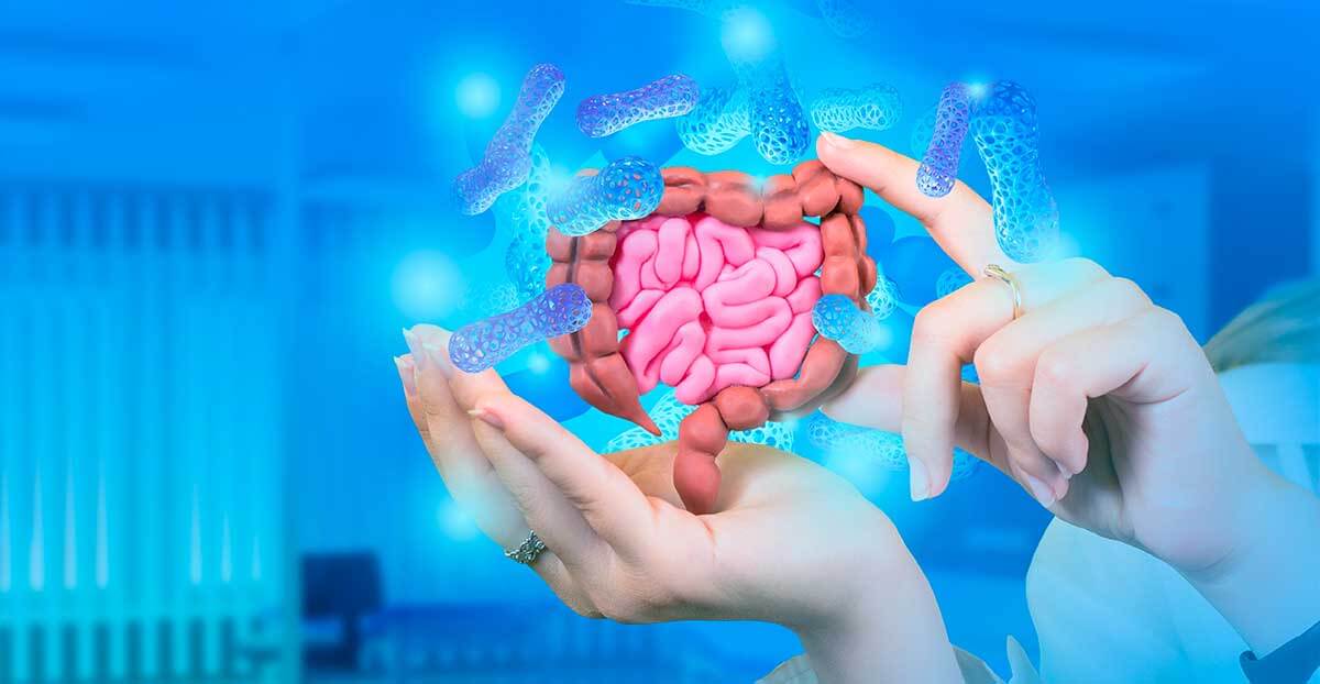 Probióticos y salud digestiva: una relación importante