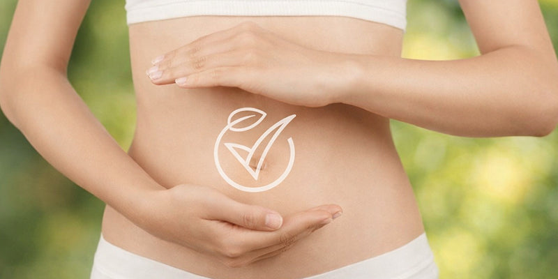 Señales silenciosas de que tu cuerpo necesita detox: el papel del intestino y la microbiota