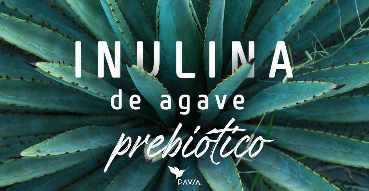 inulina de agave como prebiotico
