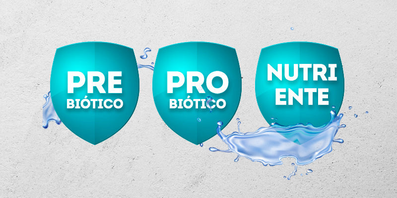 Pavia: probiótico, prebiótico y nutriente en uno solo