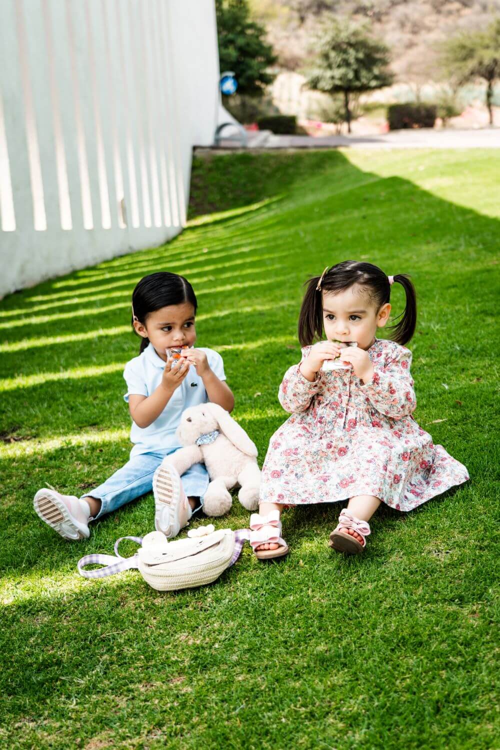 Probióticos deliciosos para niños de pavia mexico