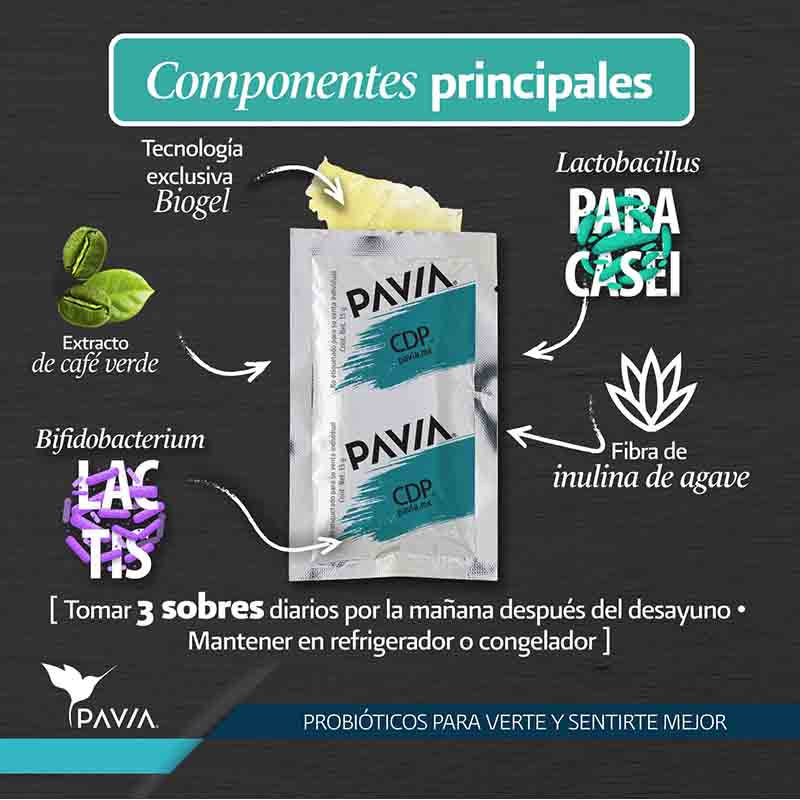 Componentes principales del CDP