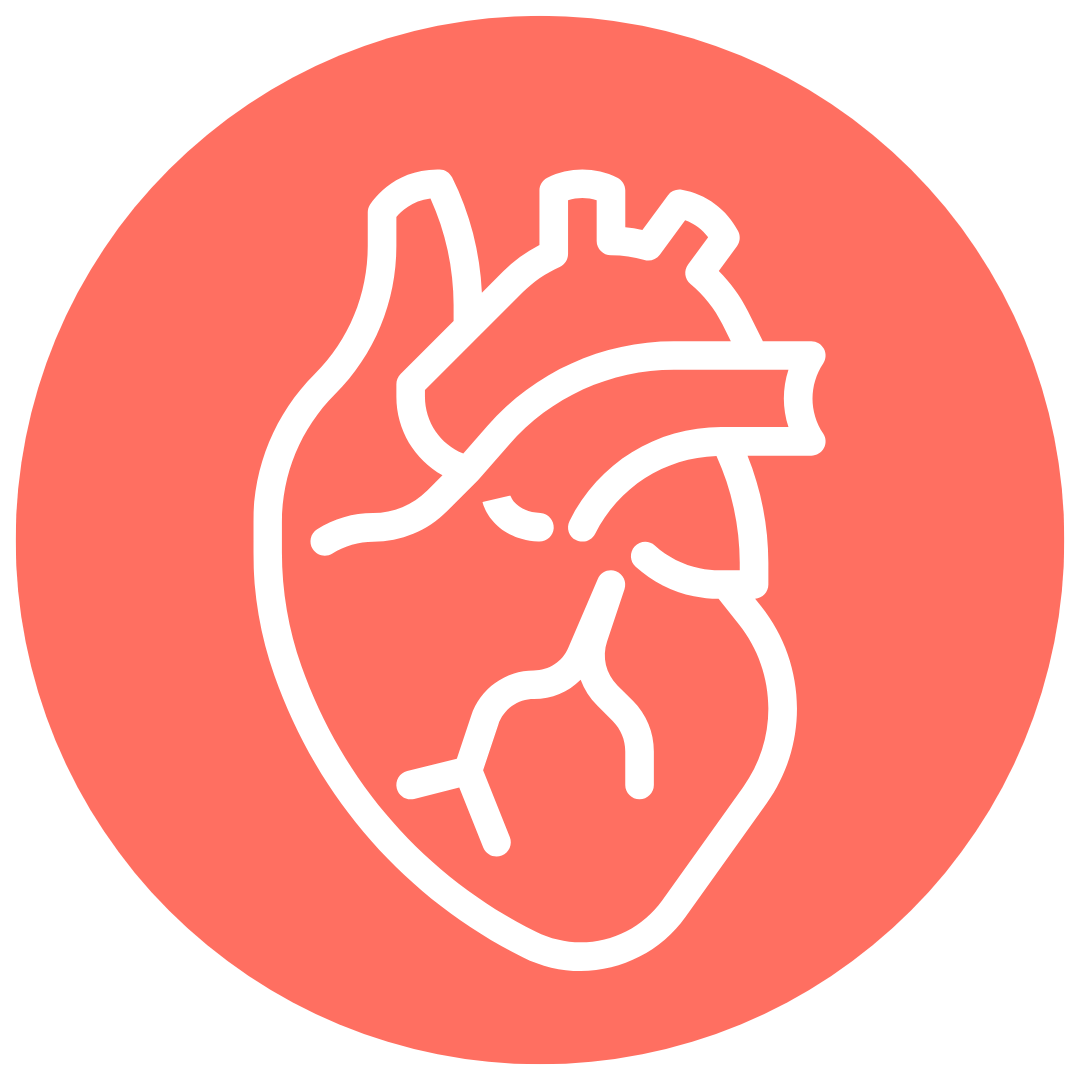 salud cardiovascular
